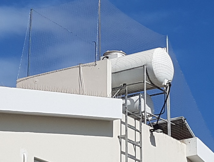 Hire Kill Pest Control Ltd image 1