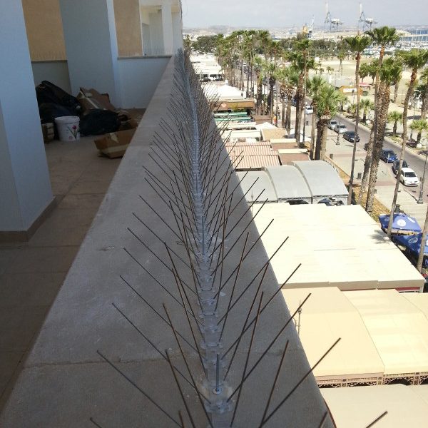 Hire Kill Pest Control Ltd image 2