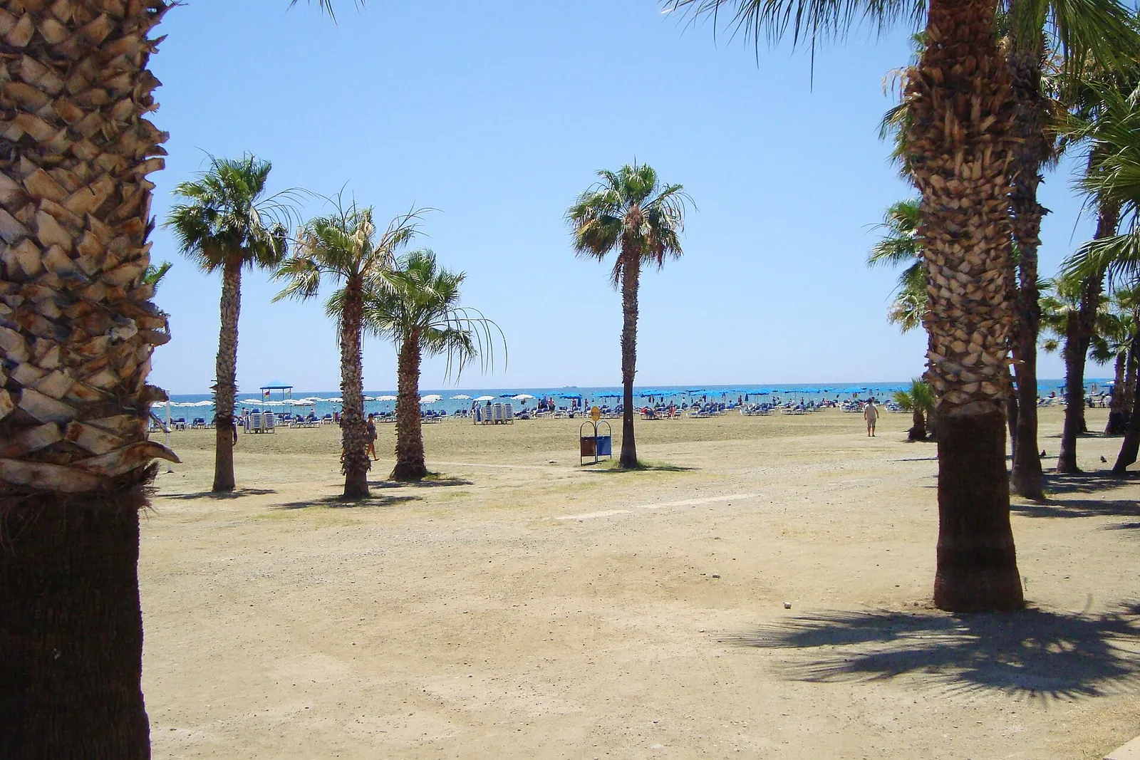 Finikoudes Beach